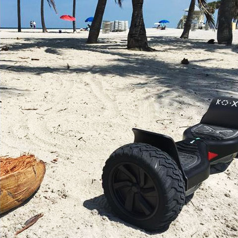Le hummer adapte tous les environnements