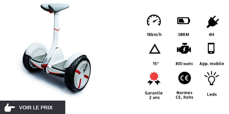 mini segway