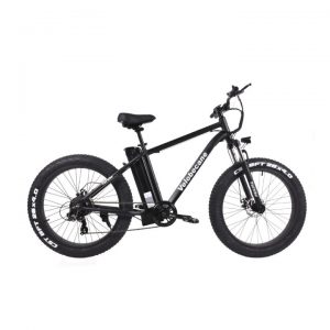 Vélo électrique velobecane fat bike