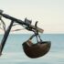 Combien coûte vraiment une trottinette électrique  ?