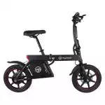 draisienne électrique wegoboard